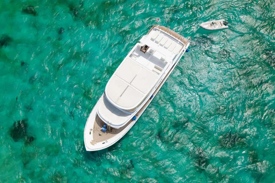 Hurghada: All-Inclusive Elite VIP Dolphin House & Massage - Should you book the Royal Cruise dolphin trip?