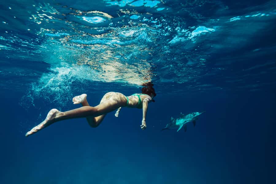 Hurghada: All-Inclusive Elite VIP Dolphin House & Massage - Dolphin House and the rules of a wild encounter