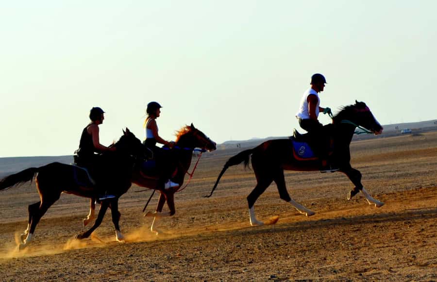 Hurghada: Arabian Desert and Sea Horseback Adventure - VIP four-hour ride and swimming with horses