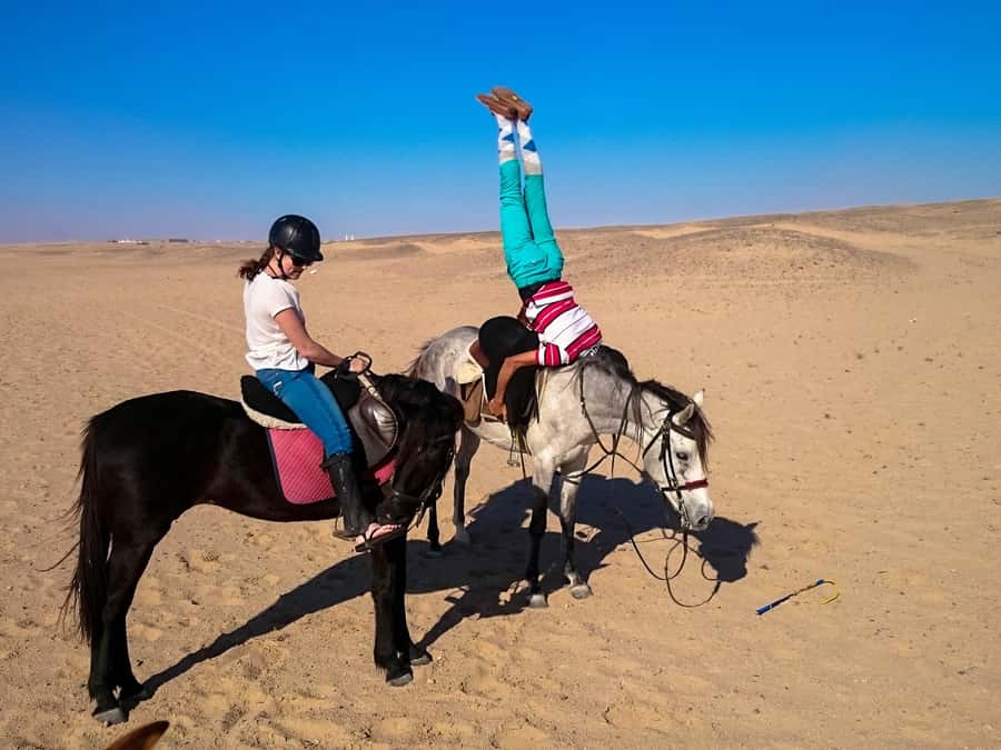 Hurghada: Arabian Desert and Sea Horseback Adventure - Dinner, entertainment, and desert stars