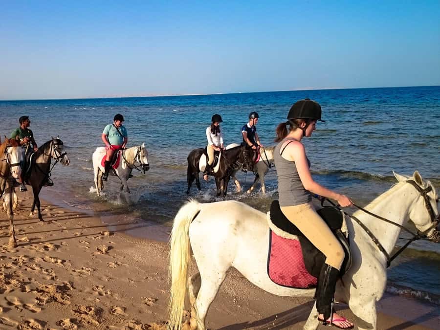 Hurghada: Arabian Desert and Sea Horseback Adventure - Guides, photos, and the level of personal attention