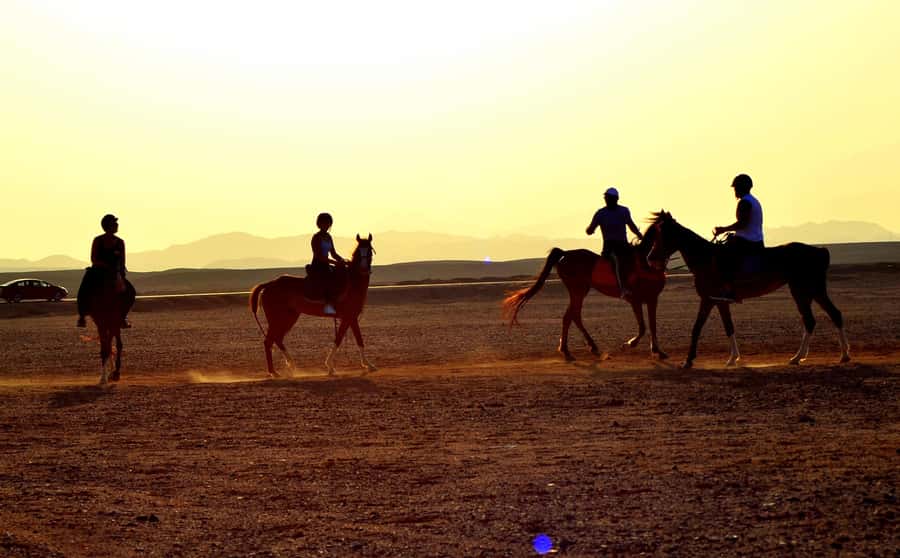 Hurghada: Arabian Desert and Sea Horseback Adventure - Transfers, packing, and small practical issues