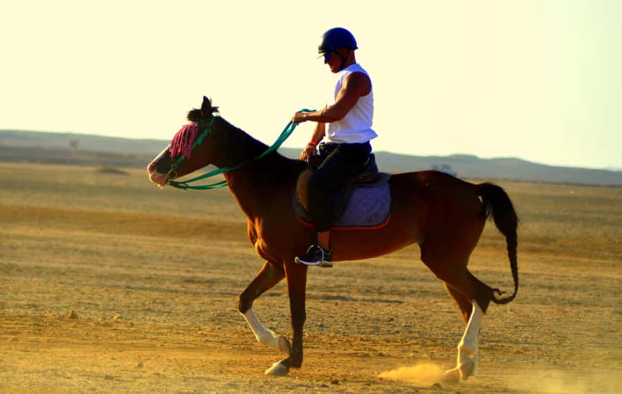 Hurghada: Arabian Desert and Sea Horseback Adventure - Is this Hurghada horse ride worth booking?
