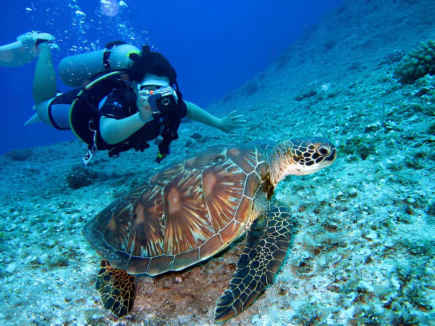 Hurghada: Beginners Scuba Diving Full-Day Boat Trip & Lunch - The second session is often the better one