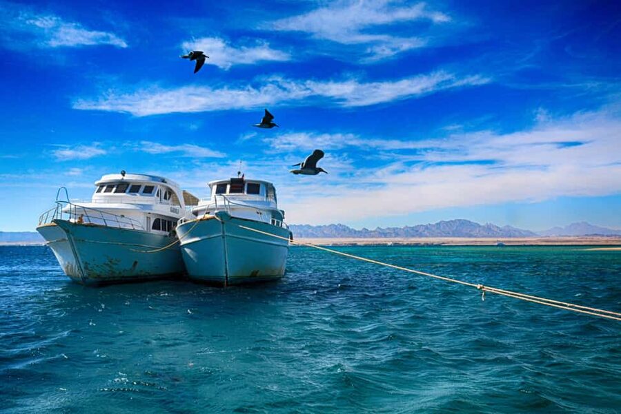 Hurghada: Beginners Scuba Diving Full-Day Boat Trip & Lunch - Snorkeling gives you a relaxed alternative