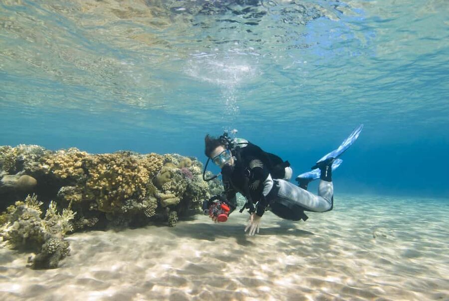 Hurghada: Beginners Scuba Diving Full-Day Boat Trip & Lunch - Who should book this Hurghada boat trip?