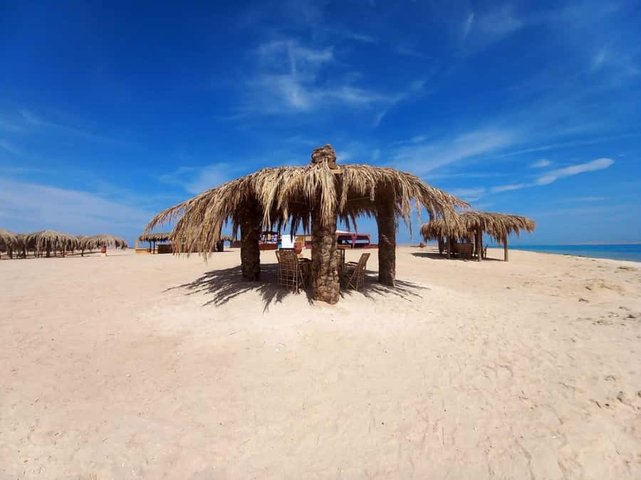 Hurghada: Boat trip to Magawish island with Multi Options - Key points at a glance