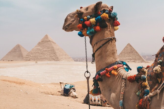 Hurghada: Cairo and Giza Highlights by mini Van with BBQ Lunch - Is this the right Cairo trip from Hurghada?