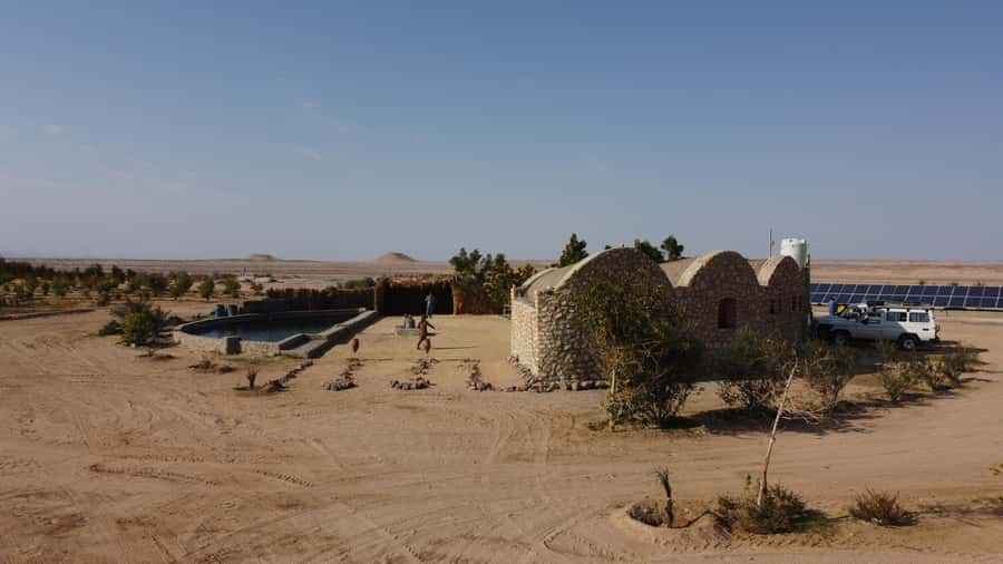 Hurghada: Camel Ride & horse ride and Off-Road Jeep Tour - Key points at a glance