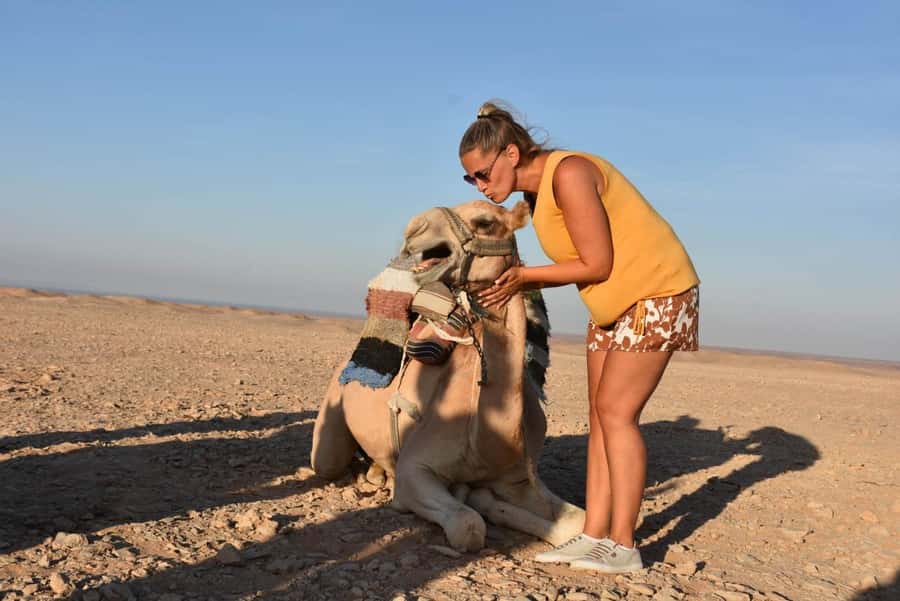 Hurghada: Camel Ride & horse ride and Off-Road Jeep Tour - A desert outing with more than a quick camel photo
