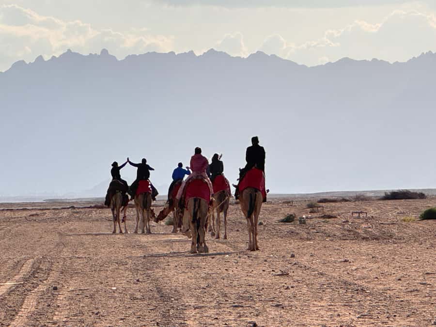 Hurghada: Camel Ride & horse ride and Off-Road Jeep Tour - Dinner and stargazing after dark