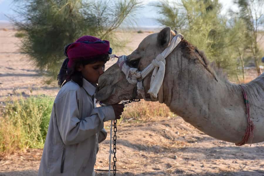 Hurghada: Camel Ride & horse ride and Off-Road Jeep Tour - Hotel pickup from Hurghada and nearby resorts