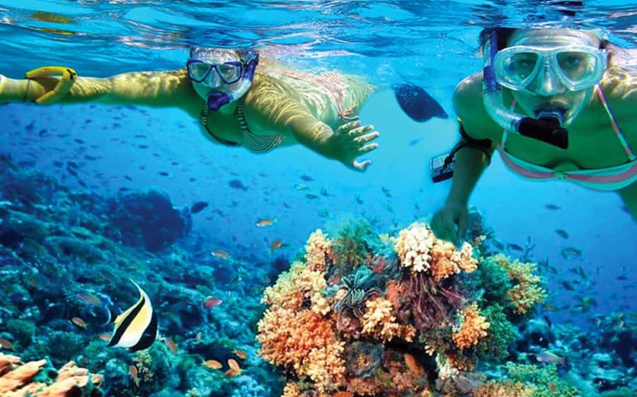 Hurghada: Day Snorkeling with Dolphins - The seven-hour schedule from hotel to harbor