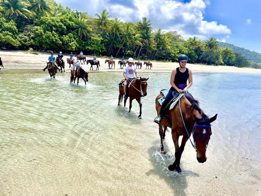 Hurghada: Desert and Sea Horseback Riding Tour with Transfer - Key points at a glance