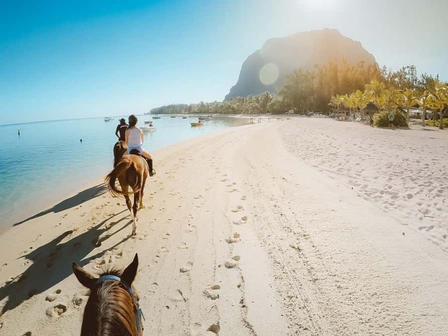 Hurghada: Desert and Sea Horseback Riding Tour with Transfer - From your hotel to a Hurghada stable