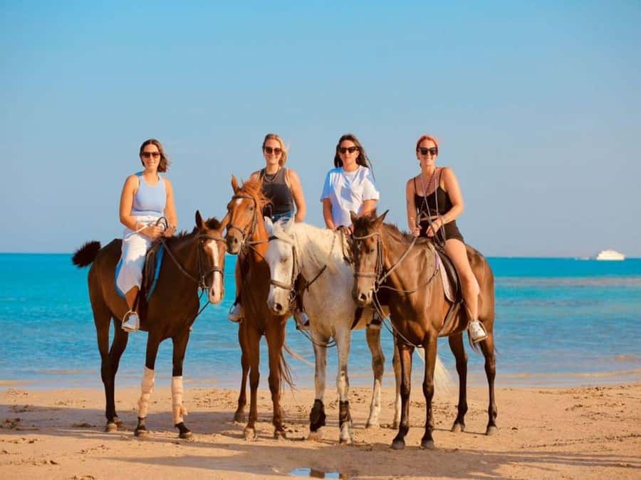 Hurghada: Desert and Sea Horseback Riding Tour with Transfer - Crossing the desert with the Red Sea ahead