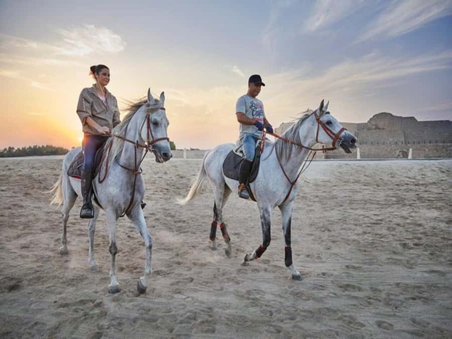 Hurghada: Desert and Sea Horseback Riding Tour with Transfer - Meeting the horses and choosing the right mount