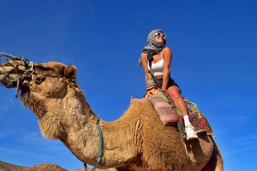 Hurghada: Desert Quad, Bedouin Village, and Camel Ride Tour - Key points at a glance