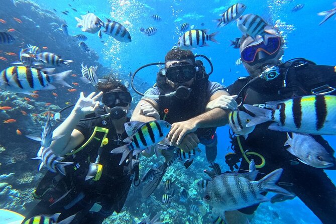 Hurghada Diving Adventure one Day with two Dives Boat Trip - A Red Sea day built around two sites