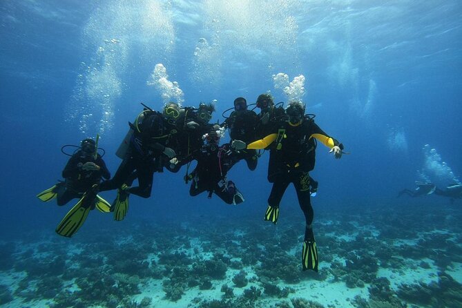 Hurghada Diving Adventure one Day with two Dives Boat Trip - Who should book this Hurghada boat trip?