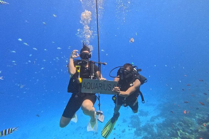 Hurghada Diving Adventure one Day with two Dives Boat Trip - Timing, cancellations, and small booking details