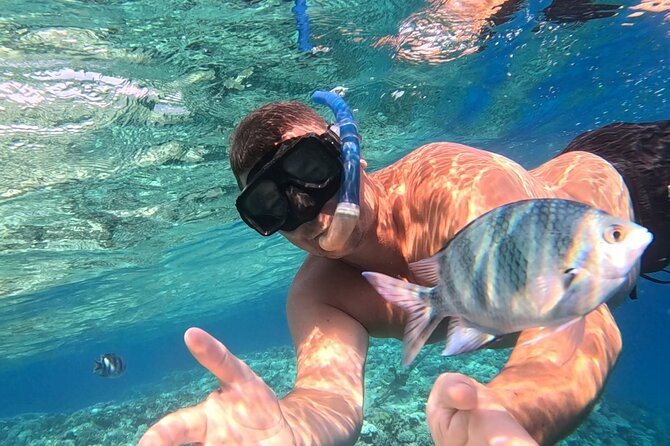 Hurghada Diving Adventure one Day with two Dives Boat Trip - What the morning usually means for you