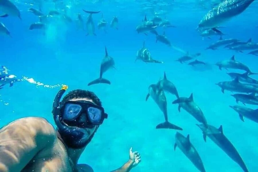 Hurghada: Dolphin & Coral Reef Snorkeling Tour with Lunch - Two coral reef stops with gear and instruction