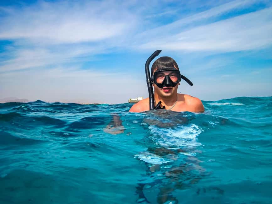 Hurghada: Dolphin & Coral Reef Snorkeling Tour with Lunch - Should you book this $29 Red Sea excursion?