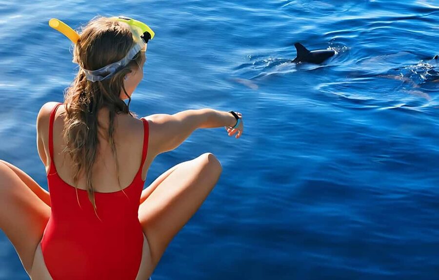 Hurghada: Dolphin Cruise with Snorkeling & Buffet Lunch - Two snorkeling stops above Red Sea coral
