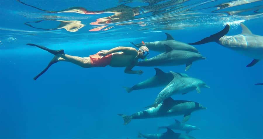 Hurghada: Dolphin watch Cruise with optional pickup - The first hour at sea