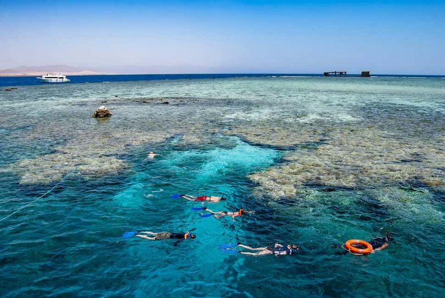 Hurghada: Dolphin Watching Boat Tour with Snorkeling & Lunch - A few practical ways to enjoy it more