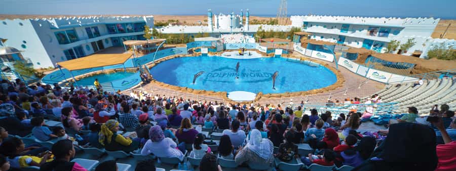 Hurghada: Dolphin World Show with Walruses and Pickup - Entering Dolphin World and finding your seat
