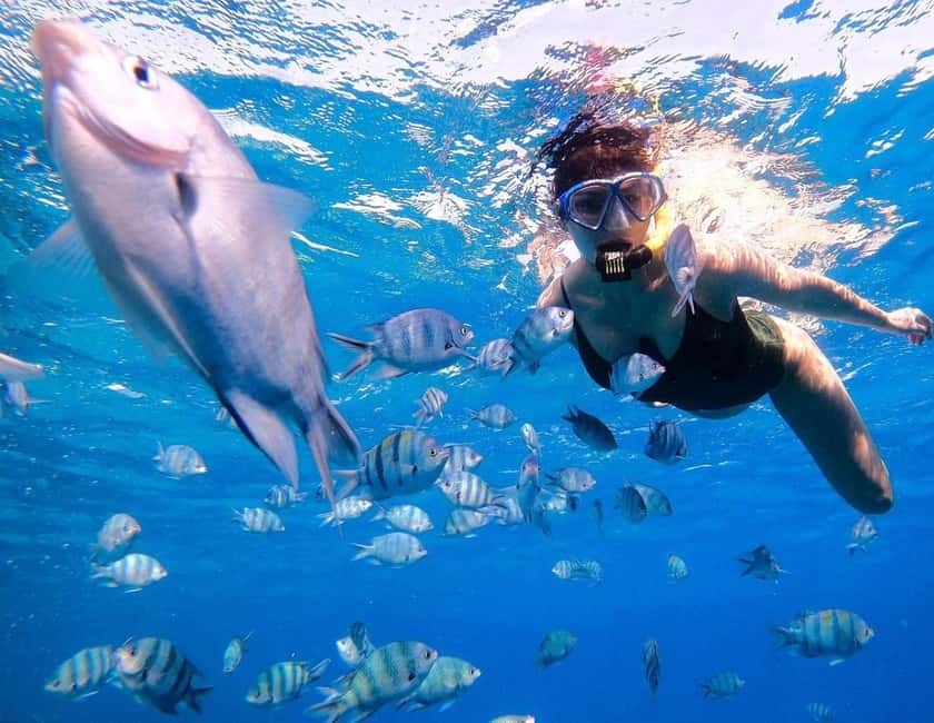 Hurghada:Eden Island Full-Day Trip with Water sports & Lunch - Sailing from Hurghada across the Red Sea