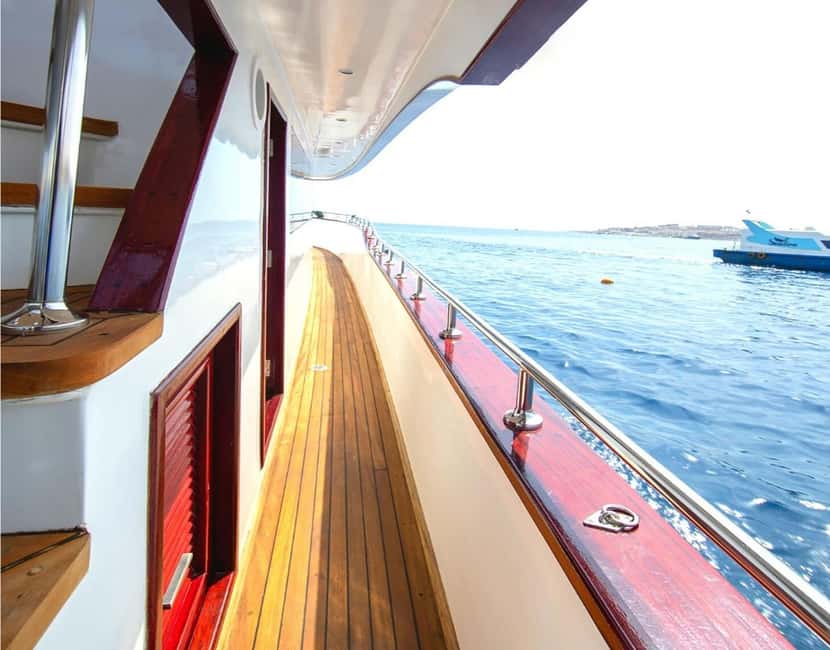 Hurghada:Eden Island Full-Day Trip with Water sports & Lunch - Snorkeling above Red Sea coral reefs