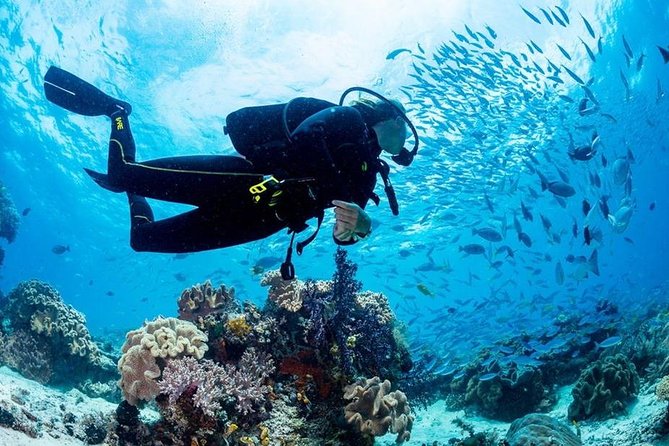Hurghada: Full-Day Diving Tour with Lunch & Two Dive Sites - Key points to know before you book