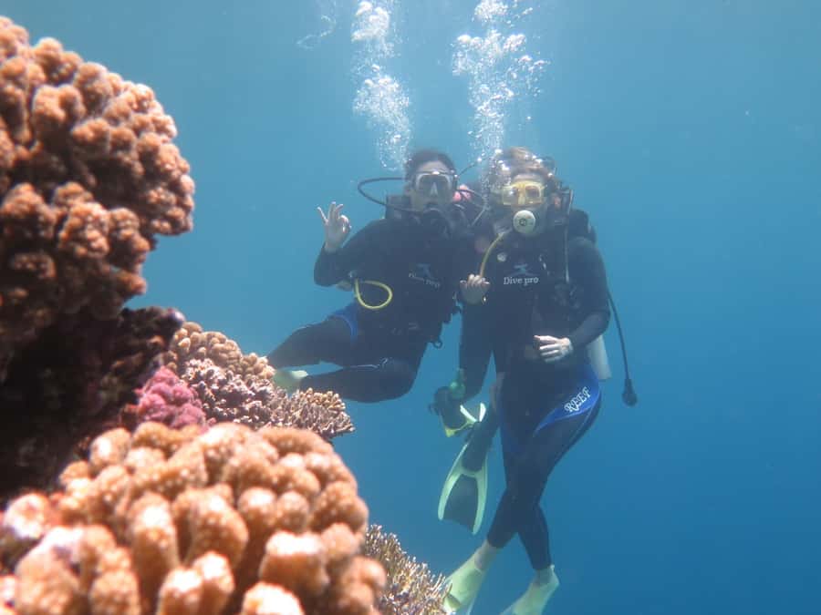 Hurghada: Full-Day Scuba Diving Tour with 2 Sites and Lunch - Why the Red Sea is the real attraction