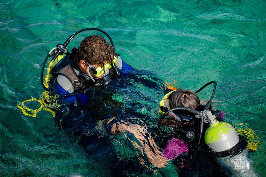 Hurghada: Full-Day Scuba Diving Tour with 2 Sites and Lunch - Is $70 a fair price?