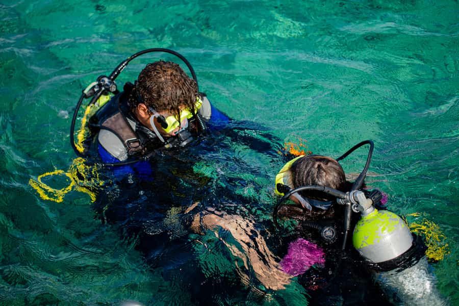 Hurghada: Full-Day Scuba Diving Tour with 2 Sites and Lunch - Who should book this Hurghada trip?