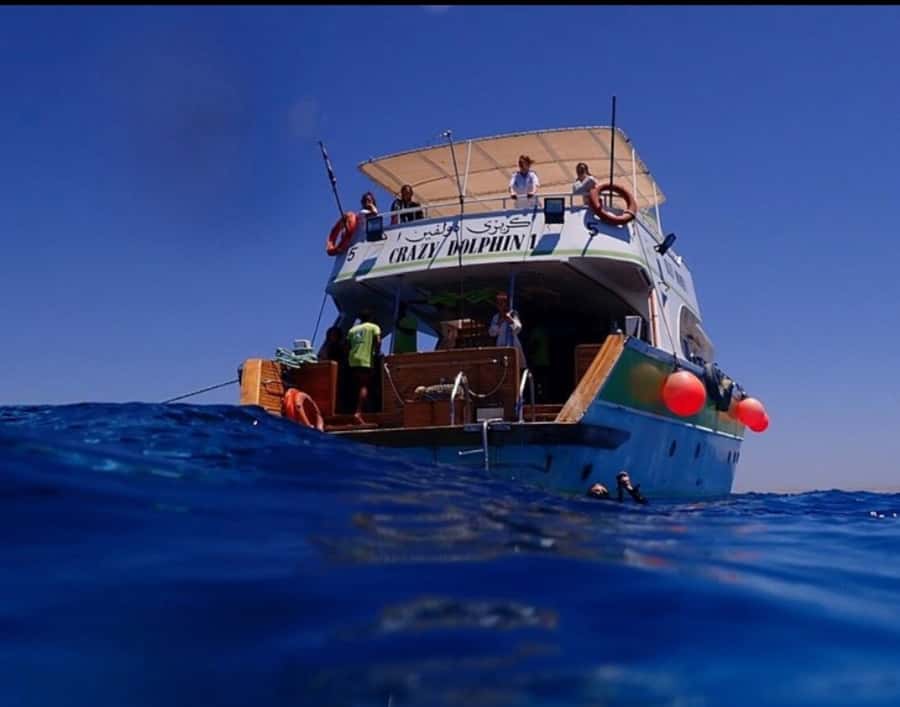 Hurghada: Full-Day Scuba Diving Tour with 2 Sites and Lunch - My practical verdict