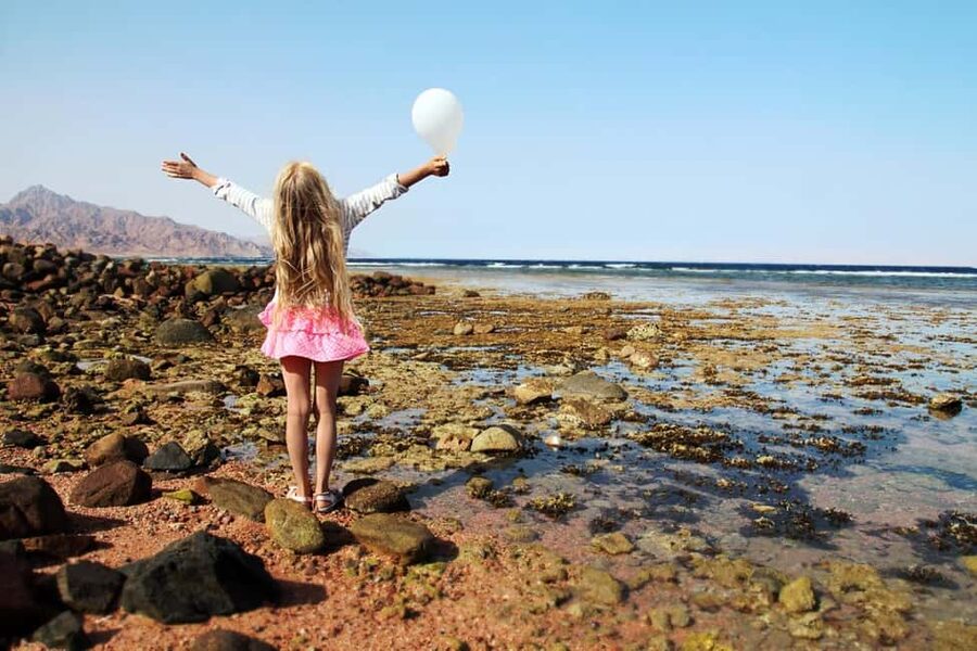 Hurghada: Full-Day Snorkeling Tour in Sharm El Naga w/Lunch - What the reef experience is really like