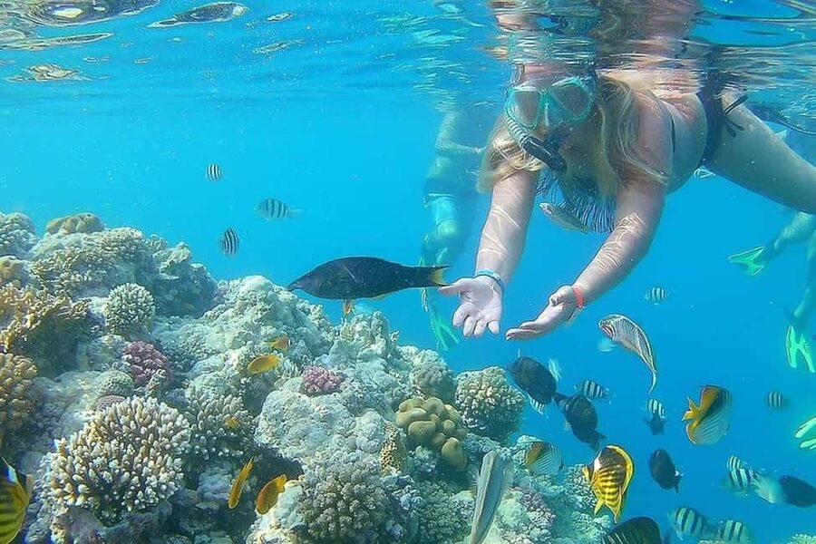 Hurghada: Full-Day Snorkeling Tour in Sharm El Naga w/Lunch - Beach time, shade, and the lunch break