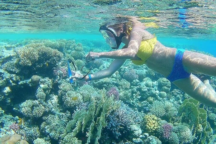 Hurghada: Full-Day Snorkeling Tour in Sharm El Naga w/Lunch - Who should book this snorkeling day