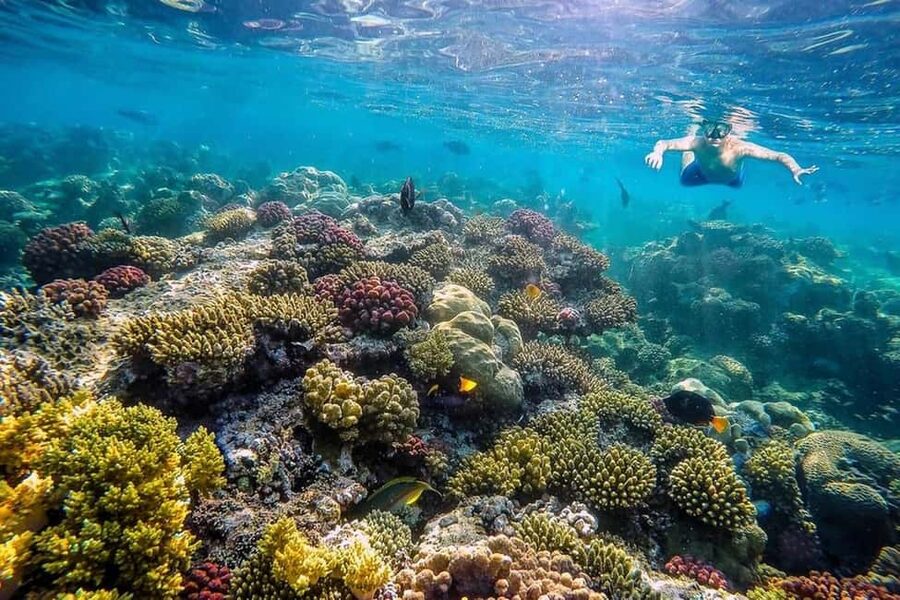 Hurghada: Full-Day Snorkeling Tour in Sharm El Naga w/Lunch - What to pack for a better day