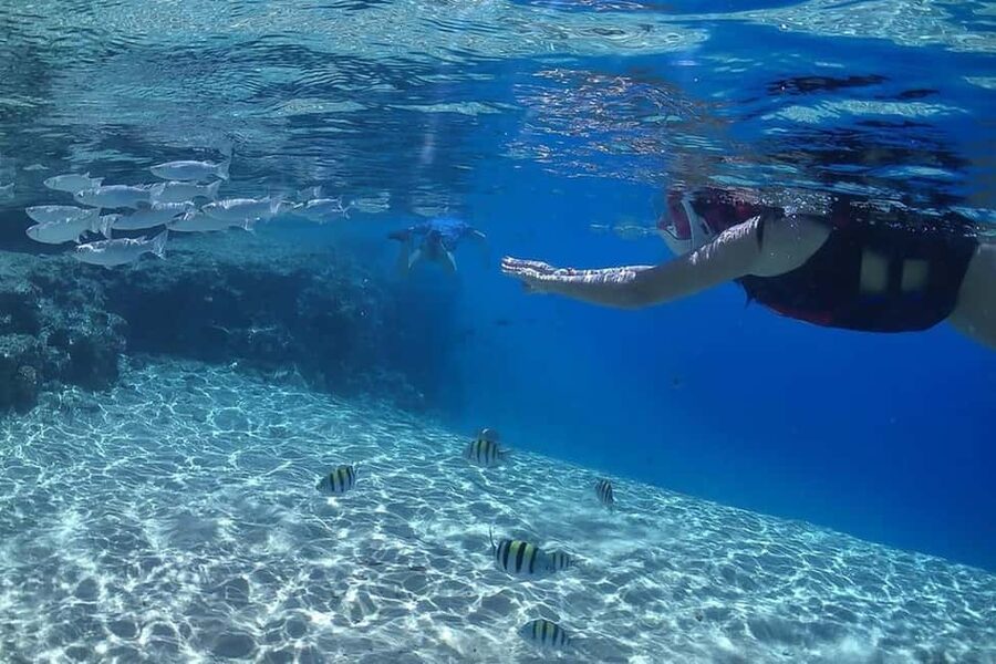 Hurghada: Full-Day Snorkeling Tour in Sharm El Naga w/Lunch - Booking, languages, and cancellation