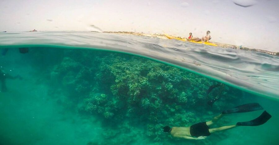 Hurghada: Full-Day Snorkeling Tour in Sharm El Naga w/Lunch - The Hurghada pickup and drive south