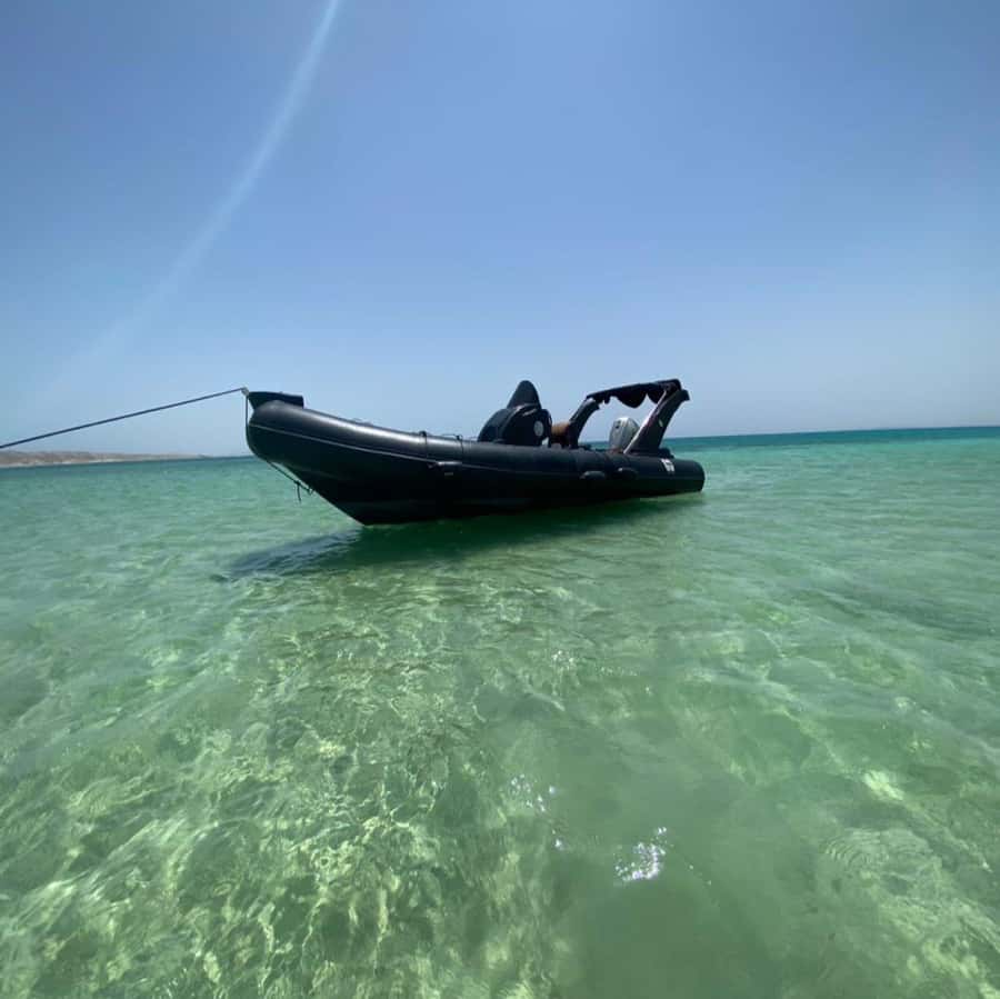 Hurghada: Giftun Island Orange Bay Speedboat Cruise & Lunch - Who Will Enjoy This Speedboat Trip Most