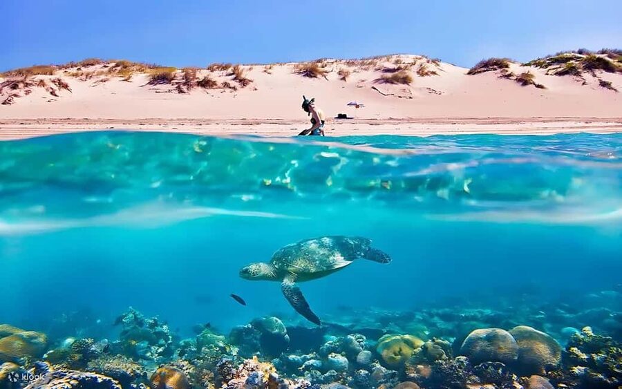 Hurghada: Giftun Island with breakfast, lunch & Water Sports - A boat ride with snacks and open Red Sea views