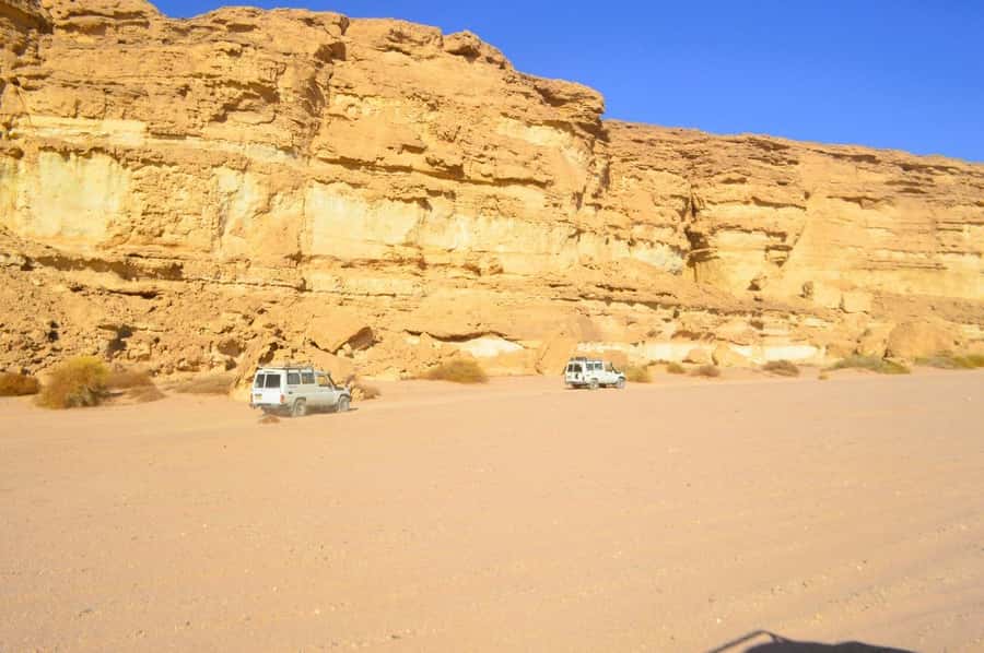 Hurghada: Hiking , dinner & stargazing - Key points to know before booking