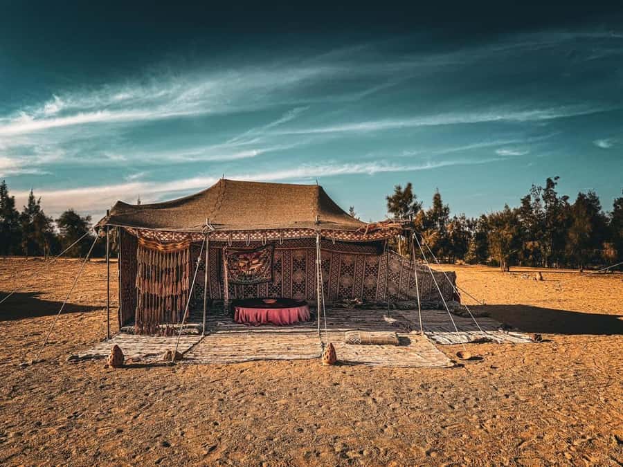 Hurghada: Hiking , dinner & stargazing - A short camel ride with a sunset finish