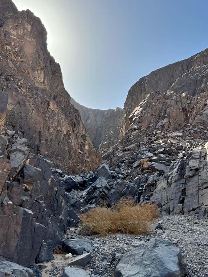 Hurghada: Hiking , dinner & stargazing - Dinner made for an evening outdoors